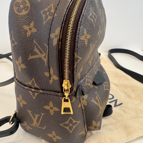 Louis Vuitton Palm Springs Mini Backpack in Monogram - Picture 12 of 16